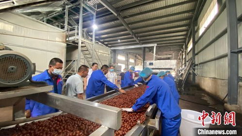 百國華僑華人走進云南臨滄 感受創新進步 開放包容大美邊疆