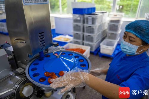 原創(chuàng)組圖丨中秋將至 海口這個食品廠開足馬力生產(chǎn)月餅