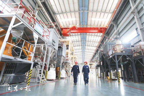 主動融入發(fā)展大局 打造鋯鎂產(chǎn)業(yè)集群