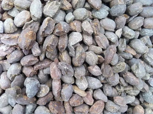 行情 中國鎂砂市場價格趨穩(wěn),高純鎂砂深受老外青睞