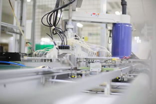 合肥市7月外貿總值突破200億元大關